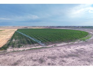 Property photo 57 - QUALITY IRRIGATED & ORGANIC COLORADO LAND AUCTION - 6,673+/- ACRES OFFERED IN 26 TRACTS OR COMBINATIONS IN BENT & PROWERS COUNTIES, COLORADO
