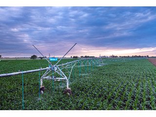Property photo 14 - QUALITY IRRIGATED & ORGANIC COLORADO LAND AUCTION - 6,673+/- ACRES OFFERED IN 26 TRACTS OR COMBINATIONS IN BENT & PROWERS COUNTIES, COLORADO