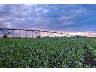 Property photo 15 - QUALITY IRRIGATED & ORGANIC COLORADO LAND AUCTION - 6,673+/- ACRES OFFERED IN 26 TRACTS OR COMBINATIONS IN BENT & PROWERS COUNTIES, COLORADO