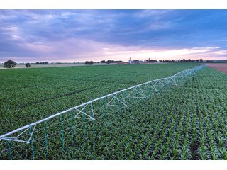 Property photo 16 - QUALITY IRRIGATED & ORGANIC COLORADO LAND AUCTION - 6,673+/- ACRES OFFERED IN 26 TRACTS OR COMBINATIONS IN BENT & PROWERS COUNTIES, COLORADO