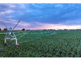 Property photo 17 - QUALITY IRRIGATED & ORGANIC COLORADO LAND AUCTION - 6,673+/- ACRES OFFERED IN 26 TRACTS OR COMBINATIONS IN BENT & PROWERS COUNTIES, COLORADO
