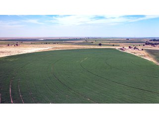 Property photo 154 - QUALITY IRRIGATED & ORGANIC COLORADO LAND AUCTION - 6,673+/- ACRES OFFERED IN 26 TRACTS OR COMBINATIONS IN BENT & PROWERS COUNTIES, COLORADO