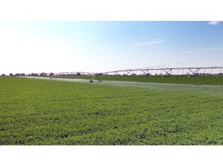 Property photo 40 - QUALITY IRRIGATED & ORGANIC COLORADO LAND AUCTION - 6,673+/- ACRES OFFERED IN 26 TRACTS OR COMBINATIONS IN BENT & PROWERS COUNTIES, COLORADO