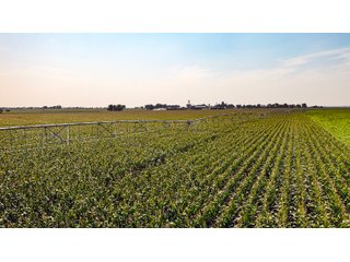 Property photo 21 - QUALITY IRRIGATED & ORGANIC COLORADO LAND AUCTION - 6,673+/- ACRES OFFERED IN 26 TRACTS OR COMBINATIONS IN BENT & PROWERS COUNTIES, COLORADO