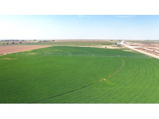 Property photo 42 - QUALITY IRRIGATED & ORGANIC COLORADO LAND AUCTION - 6,673+/- ACRES OFFERED IN 26 TRACTS OR COMBINATIONS IN BENT & PROWERS COUNTIES, COLORADO