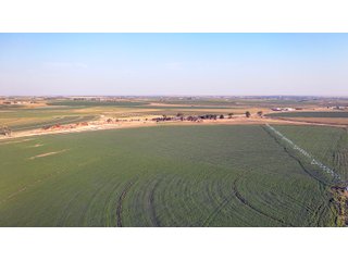 Property photo 126 - QUALITY IRRIGATED & ORGANIC COLORADO LAND AUCTION - 6,673+/- ACRES OFFERED IN 26 TRACTS OR COMBINATIONS IN BENT & PROWERS COUNTIES, COLORADO