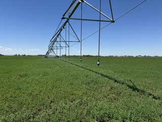 Property photo 155 - QUALITY IRRIGATED & ORGANIC COLORADO LAND AUCTION - 6,673+/- ACRES OFFERED IN 26 TRACTS OR COMBINATIONS IN BENT & PROWERS COUNTIES, COLORADO