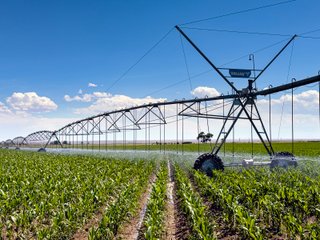 Property photo 112 - QUALITY IRRIGATED & ORGANIC COLORADO LAND AUCTION - 6,673+/- ACRES OFFERED IN 26 TRACTS OR COMBINATIONS IN BENT & PROWERS COUNTIES, COLORADO