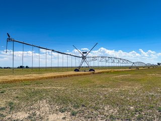 Property photo 113 - QUALITY IRRIGATED & ORGANIC COLORADO LAND AUCTION - 6,673+/- ACRES OFFERED IN 26 TRACTS OR COMBINATIONS IN BENT & PROWERS COUNTIES, COLORADO