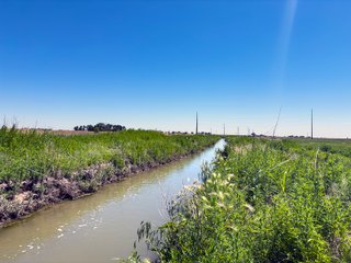 Property photo 166 - QUALITY IRRIGATED & ORGANIC COLORADO LAND AUCTION - 6,673+/- ACRES OFFERED IN 26 TRACTS OR COMBINATIONS IN BENT & PROWERS COUNTIES, COLORADO