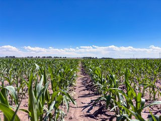 Property photo 79 - QUALITY IRRIGATED & ORGANIC COLORADO LAND AUCTION - 6,673+/- ACRES OFFERED IN 26 TRACTS OR COMBINATIONS IN BENT & PROWERS COUNTIES, COLORADO