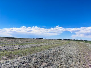 Property photo 81 - QUALITY IRRIGATED & ORGANIC COLORADO LAND AUCTION - 6,673+/- ACRES OFFERED IN 26 TRACTS OR COMBINATIONS IN BENT & PROWERS COUNTIES, COLORADO
