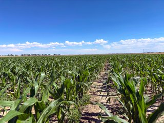 Property photo 58 - QUALITY IRRIGATED & ORGANIC COLORADO LAND AUCTION - 6,673+/- ACRES OFFERED IN 26 TRACTS OR COMBINATIONS IN BENT & PROWERS COUNTIES, COLORADO