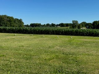 Property photo 18 - LAND AUCTION - 51.8+/- ACRES OFFERED IN 4 TRACTS IN CARROLL COUNTY, INDIANA