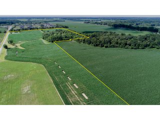 Property photo 2 - LAND AUCTION - 51.8+/- ACRES OFFERED IN 4 TRACTS IN CARROLL COUNTY, INDIANA