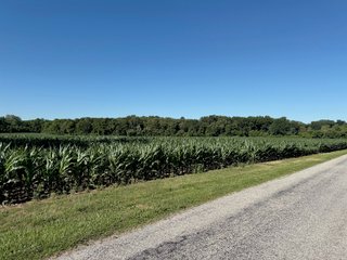 Property photo 6 - LAND AUCTION - 51.8+/- ACRES OFFERED IN 4 TRACTS IN CARROLL COUNTY, INDIANA
