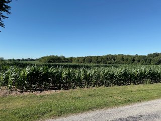 Property photo 7 - LAND AUCTION - 51.8+/- ACRES OFFERED IN 4 TRACTS IN CARROLL COUNTY, INDIANA