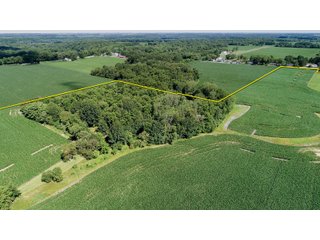 Property photo 3 - LAND AUCTION - 51.8+/- ACRES OFFERED IN 4 TRACTS IN CARROLL COUNTY, INDIANA