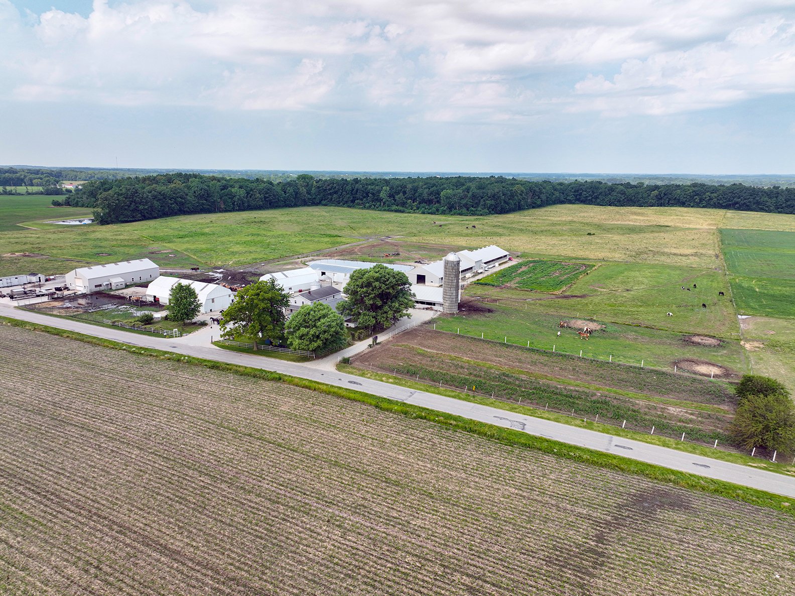 Property photo 12 - REAL ESTATE AUCTION - 38+/- ACRES OFFERED IN 4 TRACTS IN WHITLEY COUNTY, IN
