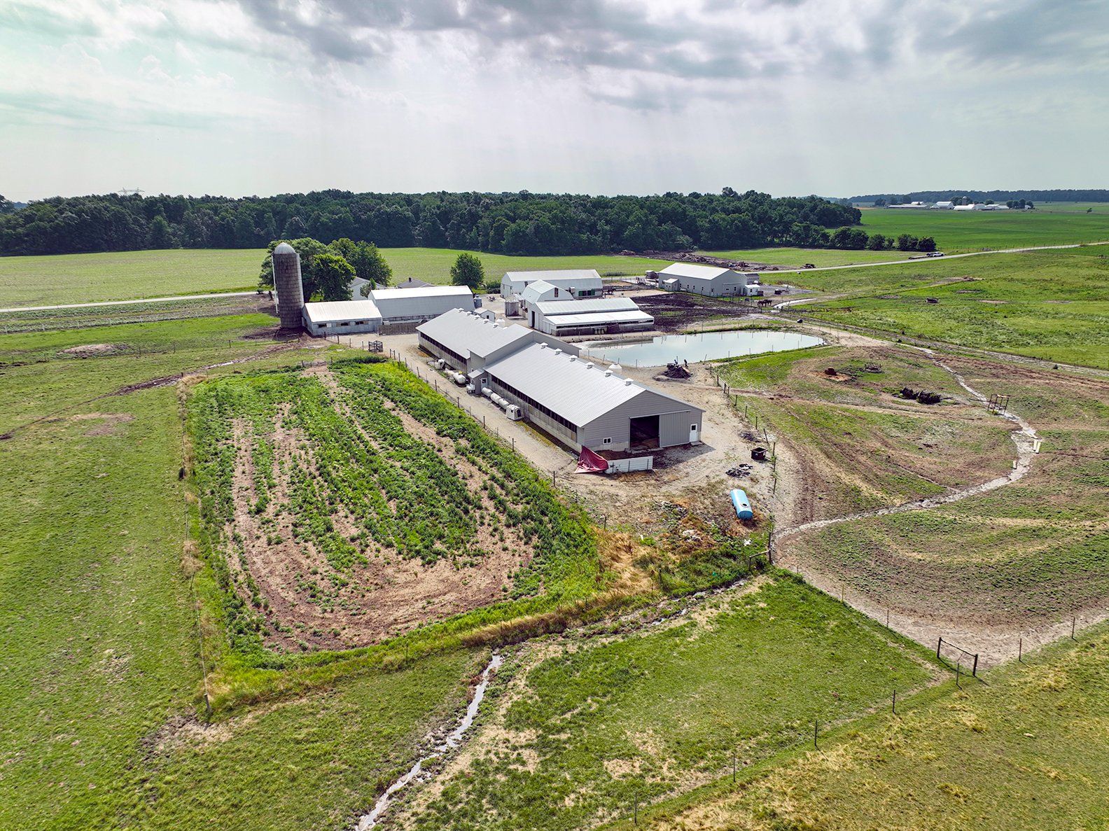 Property photo 14 - REAL ESTATE AUCTION - 38+/- ACRES OFFERED IN 4 TRACTS IN WHITLEY COUNTY, IN
