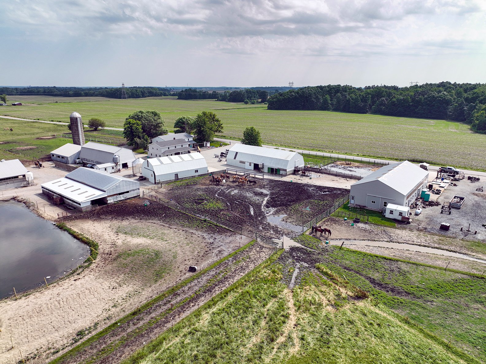 Property photo 20 - REAL ESTATE AUCTION - 38+/- ACRES OFFERED IN 4 TRACTS IN WHITLEY COUNTY, IN