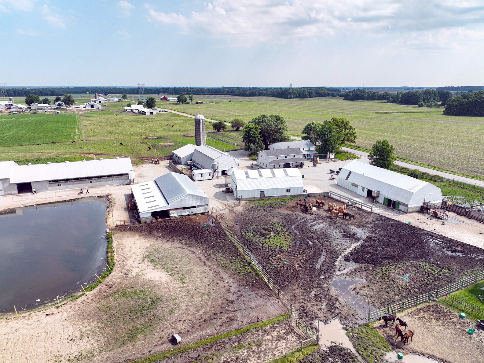 Property photo 21 - REAL ESTATE AUCTION - 38+/- ACRES OFFERED IN 4 TRACTS IN WHITLEY COUNTY, IN