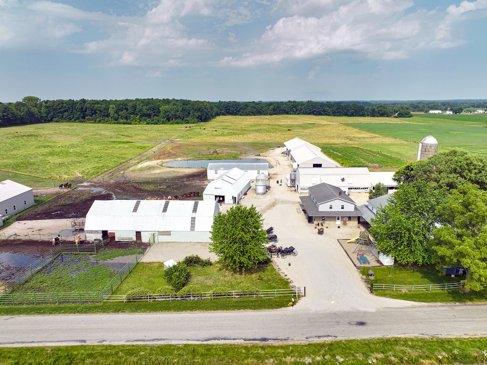 Property photo 24 - REAL ESTATE AUCTION - 38+/- ACRES OFFERED IN 4 TRACTS IN WHITLEY COUNTY, IN