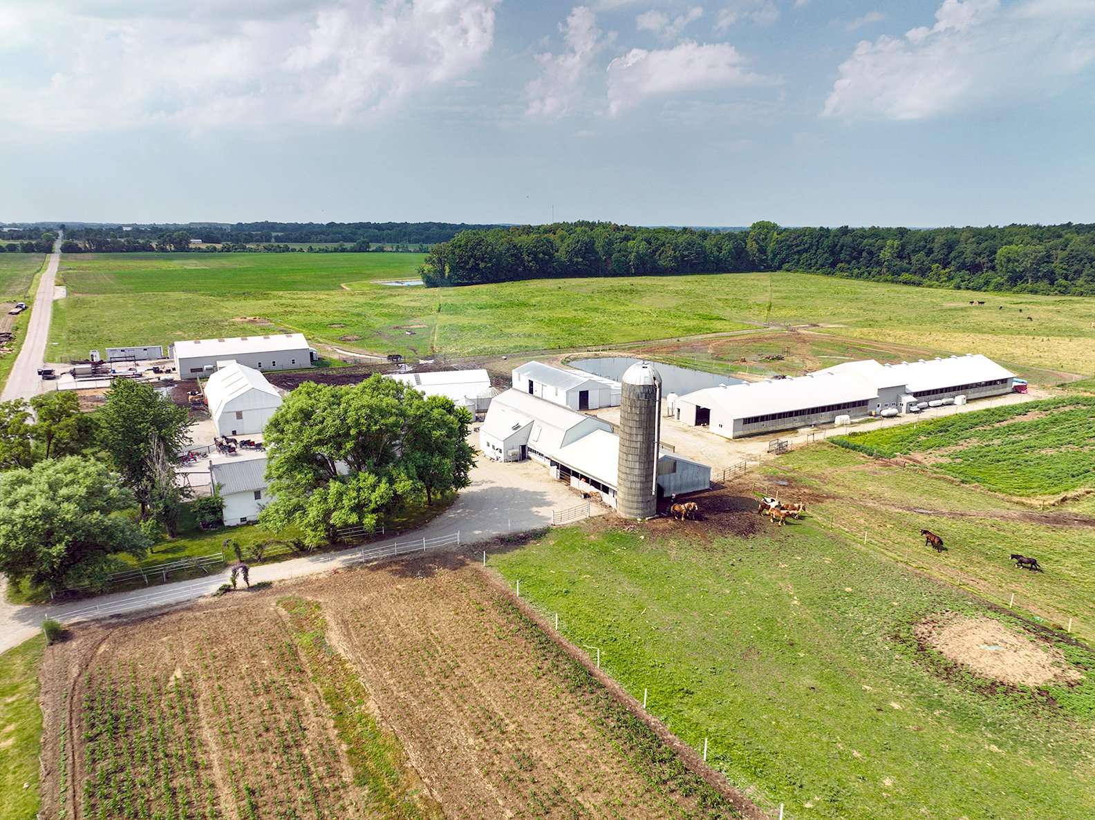 Property photo 25 - REAL ESTATE AUCTION - 38+/- ACRES OFFERED IN 4 TRACTS IN WHITLEY COUNTY, IN