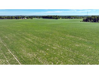 Property photo 13 - HIGH QUALITY LAND AUCTION - 220+/- ACRES OFFERED IN 5 TRACTS IN WAYNE COUNTY, INDIANA
