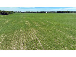 Property photo 14 - HIGH QUALITY LAND AUCTION - 220+/- ACRES OFFERED IN 5 TRACTS IN WAYNE COUNTY, INDIANA