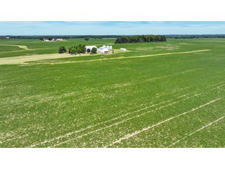 Property photo 19 - HIGH QUALITY LAND AUCTION - 220+/- ACRES OFFERED IN 5 TRACTS IN WAYNE COUNTY, INDIANA