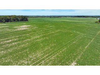 Property photo 20 - HIGH QUALITY LAND AUCTION - 220+/- ACRES OFFERED IN 5 TRACTS IN WAYNE COUNTY, INDIANA