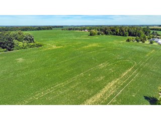 Property photo 5 - HIGH QUALITY LAND AUCTION - 220+/- ACRES OFFERED IN 5 TRACTS IN WAYNE COUNTY, INDIANA