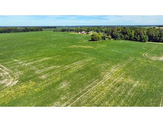 Property photo 6 - HIGH QUALITY LAND AUCTION - 220+/- ACRES OFFERED IN 5 TRACTS IN WAYNE COUNTY, INDIANA