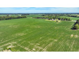 Property photo 7 - HIGH QUALITY LAND AUCTION - 220+/- ACRES OFFERED IN 5 TRACTS IN WAYNE COUNTY, INDIANA