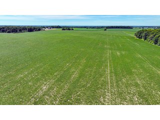 Property photo 11 - HIGH QUALITY LAND AUCTION - 220+/- ACRES OFFERED IN 5 TRACTS IN WAYNE COUNTY, INDIANA