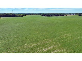 Property photo 12 - HIGH QUALITY LAND AUCTION - 220+/- ACRES OFFERED IN 5 TRACTS IN WAYNE COUNTY, INDIANA