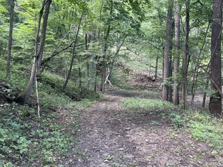 Property photo 15 - LAND AUCTION - 26.5+/- ACRES OFFERED IN 2 TRACTS IN GRANT COUNTY, WISCONSIN