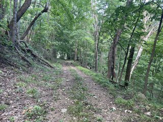 Property photo 16 - LAND AUCTION - 26.5+/- ACRES OFFERED IN 2 TRACTS IN GRANT COUNTY, WISCONSIN