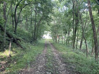 Property photo 18 - LAND AUCTION - 26.5+/- ACRES OFFERED IN 2 TRACTS IN GRANT COUNTY, WISCONSIN