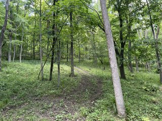 Property photo 19 - LAND AUCTION - 26.5+/- ACRES OFFERED IN 2 TRACTS IN GRANT COUNTY, WISCONSIN