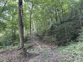 Property photo 20 - LAND AUCTION - 26.5+/- ACRES OFFERED IN 2 TRACTS IN GRANT COUNTY, WISCONSIN