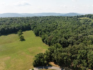 Property photo 5 - LAND AUCTION - 65+/- ACRES OFFERED IN 2 TRACTS IN WAYNE COUNTY, KENTUCKY