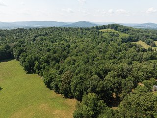 Property photo 7 - LAND AUCTION - 65+/- ACRES OFFERED IN 2 TRACTS IN WAYNE COUNTY, KENTUCKY