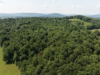 Property photo 8 - LAND AUCTION - 65+/- ACRES OFFERED IN 2 TRACTS IN WAYNE COUNTY, KENTUCKY
