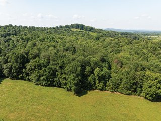 Property photo 9 - LAND AUCTION - 65+/- ACRES OFFERED IN 2 TRACTS IN WAYNE COUNTY, KENTUCKY