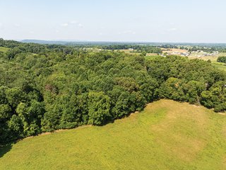 Property photo 10 - LAND AUCTION - 65+/- ACRES OFFERED IN 2 TRACTS IN WAYNE COUNTY, KENTUCKY