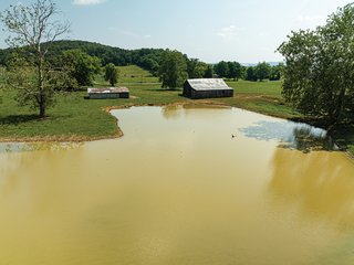 Property photo 11 - LAND AUCTION - 65+/- ACRES OFFERED IN 2 TRACTS IN WAYNE COUNTY, KENTUCKY