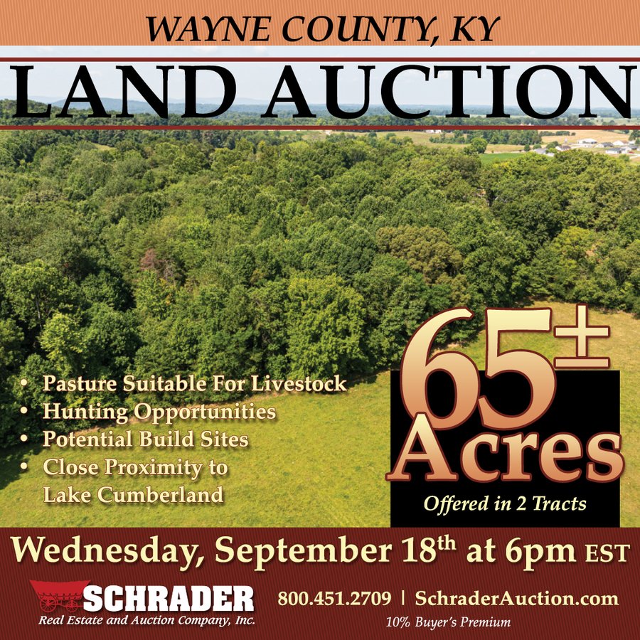 LAND AUCTION - 65+/- ACRES OFFERED IN 2 TRACTS IN WAYNE COUNTY, KENTUCKY