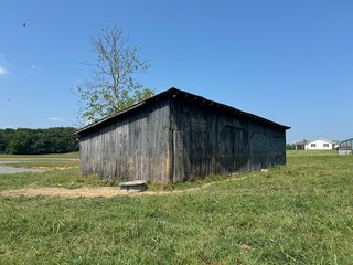 Property photo 15 - LAND AUCTION - 65+/- ACRES OFFERED IN 2 TRACTS IN WAYNE COUNTY, KENTUCKY